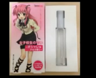 Illustration for article titled Ever Wanted To Sleep Next To Your (Virtual) Idol? (VIDEO)